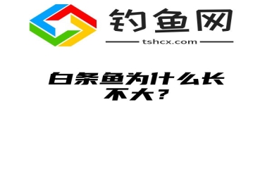 白条鱼为什么长不大？