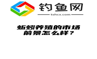 蚯蚓养殖的市场前景怎么样？