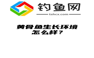 黄骨鱼生长环境怎么样？