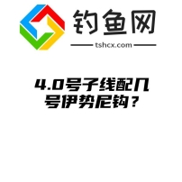 4.0号子线配几号伊势尼钩？