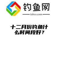 十二月份钓鱼什么时间段好？