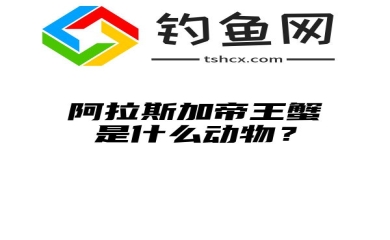 阿拉斯加帝王蟹是什么动物？