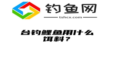 台钓鲤鱼用什么饵料？