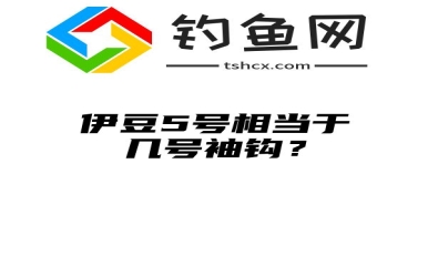 伊豆5号相当于几号袖钩？