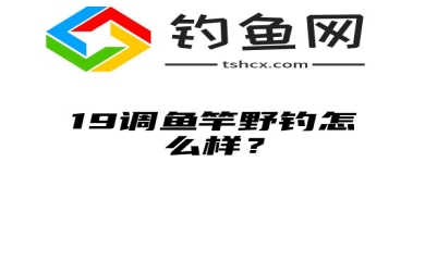 19调鱼竿野钓怎么样？