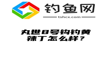 丸世8号钩钓黄辣丁怎么样？