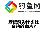 传统钓为什么比台钓的鱼大？