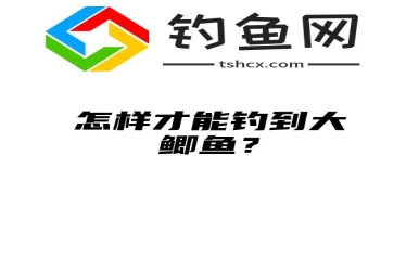 怎样才能钓到大鲫鱼？