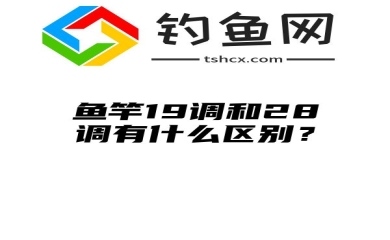 鱼竿19调和28调有什么区别？