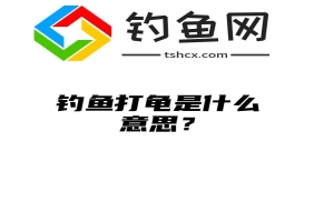 钓鱼打龟是什么意思？