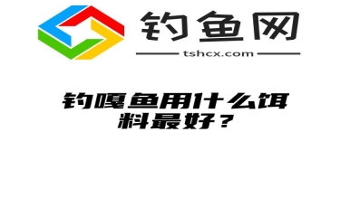 钓嘎鱼用什么饵料最好？