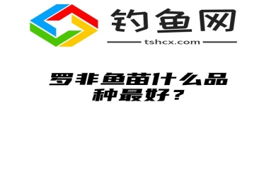 罗非鱼苗什么品种最好？