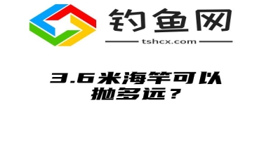 3.6米海竿可以抛多远？