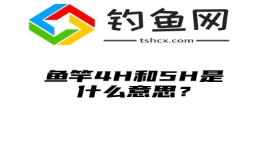 鱼竿4H和5H是什么意思？