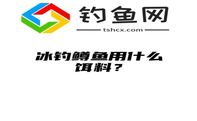 冰钓鳟鱼用什么饵料？