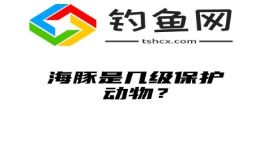 海豚是几级保护动物？