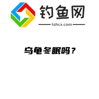 乌龟冬眠吗？