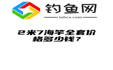 2米7海竿全套价格多少钱？