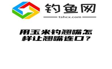 用玉米钓翘嘴怎样让翘嘴连口？