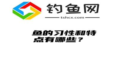 鳑鲏鱼的习性和特点有哪些？