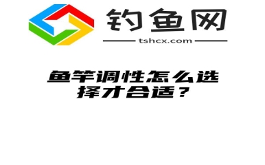 鱼竿调性怎么选择才合适？