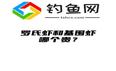 罗氏虾和基围虾哪个贵？