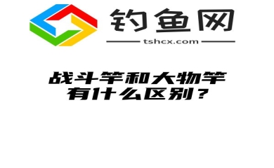 战斗竿和大物竿有什么区别？