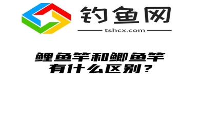 鲤鱼竿和鲫鱼竿有什么区别？