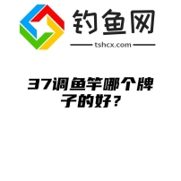 37调鱼竿哪个牌子的好？