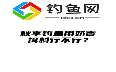 秋季钓鱼用奶香饵料行不行？