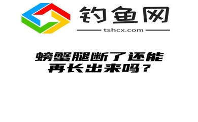 螃蟹腿断了还能再长出来吗？