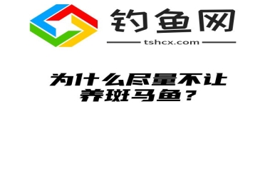 为什么尽量不让养斑马鱼？