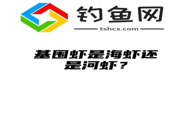 基围虾是海虾还是河虾？