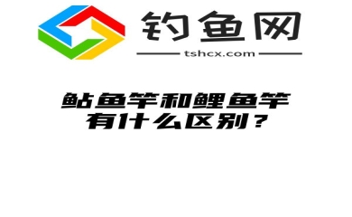 鲇鱼竿和鲤鱼竿有什么区别？