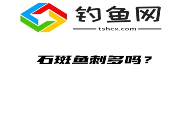 石斑鱼刺多吗？