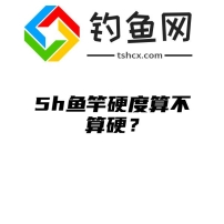 5h鱼竿硬度算不算硬？