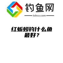 红蚯蚓钓什么鱼最好？