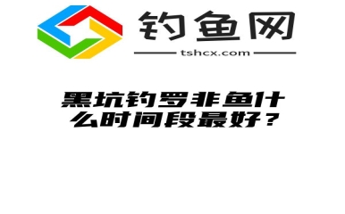 黑坑钓罗非鱼什么时间段最好？