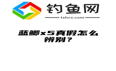 蓝鲫x5真假怎么辨别？