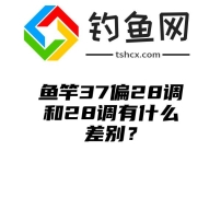 鱼竿37偏28调和28调有什么差别？