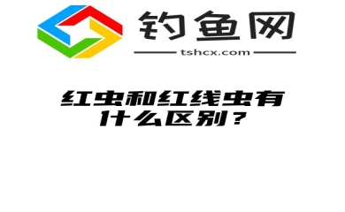 红虫和红线虫有什么区别？