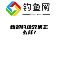 蚯蚓钓鱼效果怎么样？