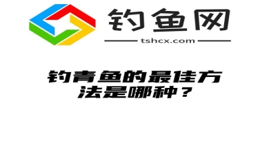 钓青鱼的最佳方法是哪种？