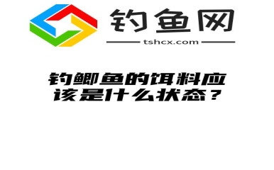 钓鲫鱼的饵料应该是什么状态？