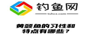 黄颡鱼的习性和特点有哪些？