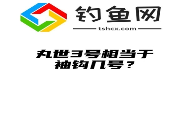 丸世3号相当于袖钩几号？