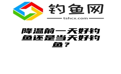 降温前一天好钓鱼还是当天好钓鱼？