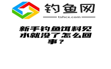 新手钓鱼饵料见水就没了怎么回事？