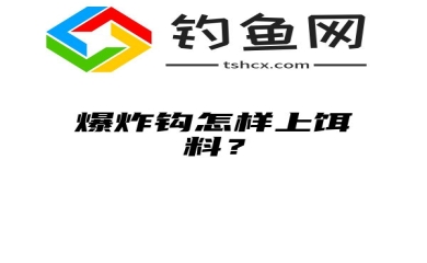 爆炸钩怎样上饵料？