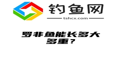 罗非鱼能长多大多重？